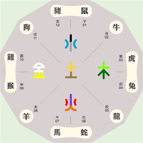 薇五行|薇字在五行里属什么？